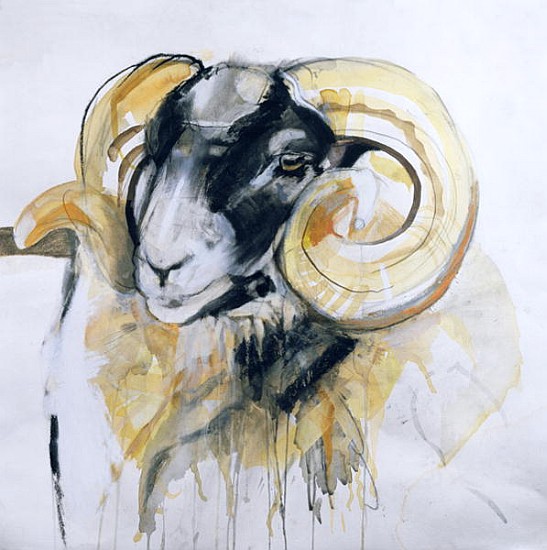Long Horn Sheep (mixed media)  od Lou  Gibbs