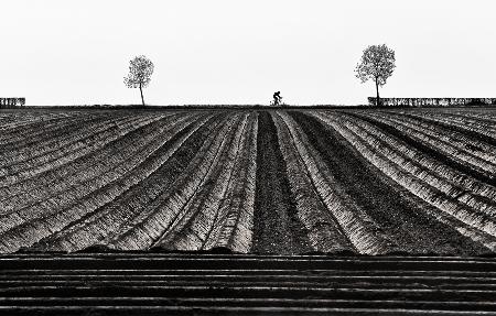 Tour of Flanders