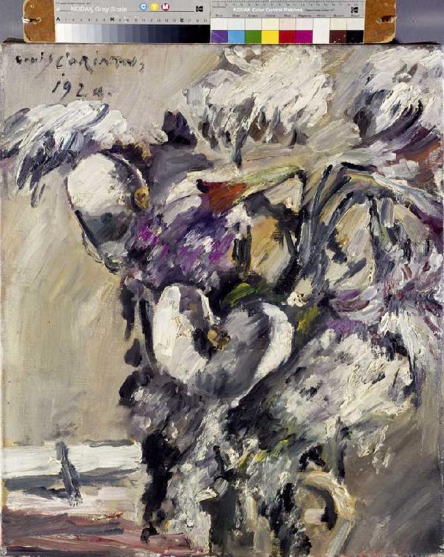 Chrysanthemen und Kalla od Lovis Corinth