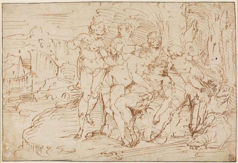 Venus mourning Adonis od Luca Cambiaso