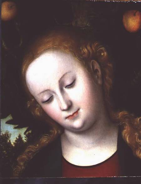 Head of the Virgin od Lucas Cranach d. Ä.