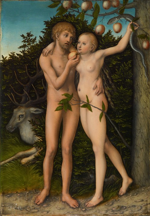 The Fall of Man od Lucas Cranach d. Ä.