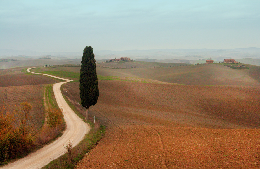 landscape od Luciano Caturegli