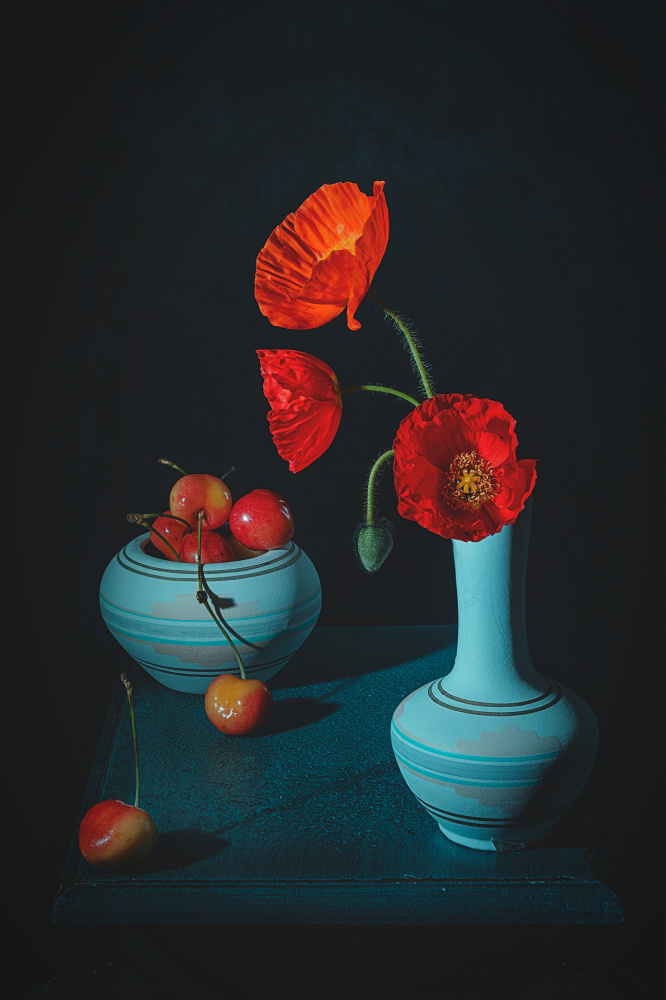 Iceland poppy &amp; cherry od Lydia Jacobs