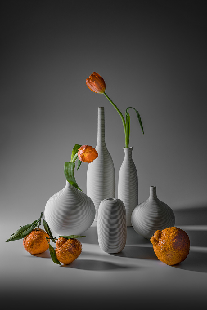 Tulip and Mandarin Orange od Lydia Jacobs