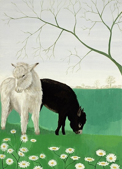 Donkeys and Daisies od  Maggie  Rowe