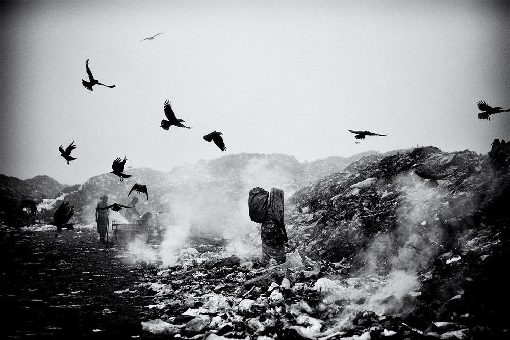 Life on garbage dump yard III od Marcel Rebro
