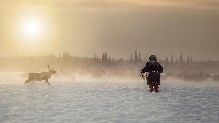 Reindeer hunter