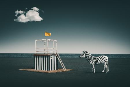 Zebra style