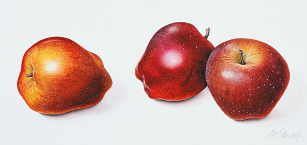 Red Apples, 1996 (w/c on paper)  od Margaret Ann  Eden