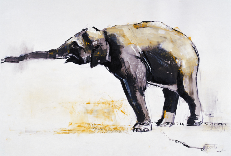 Indian Elephant, Khana od Mark  Adlington