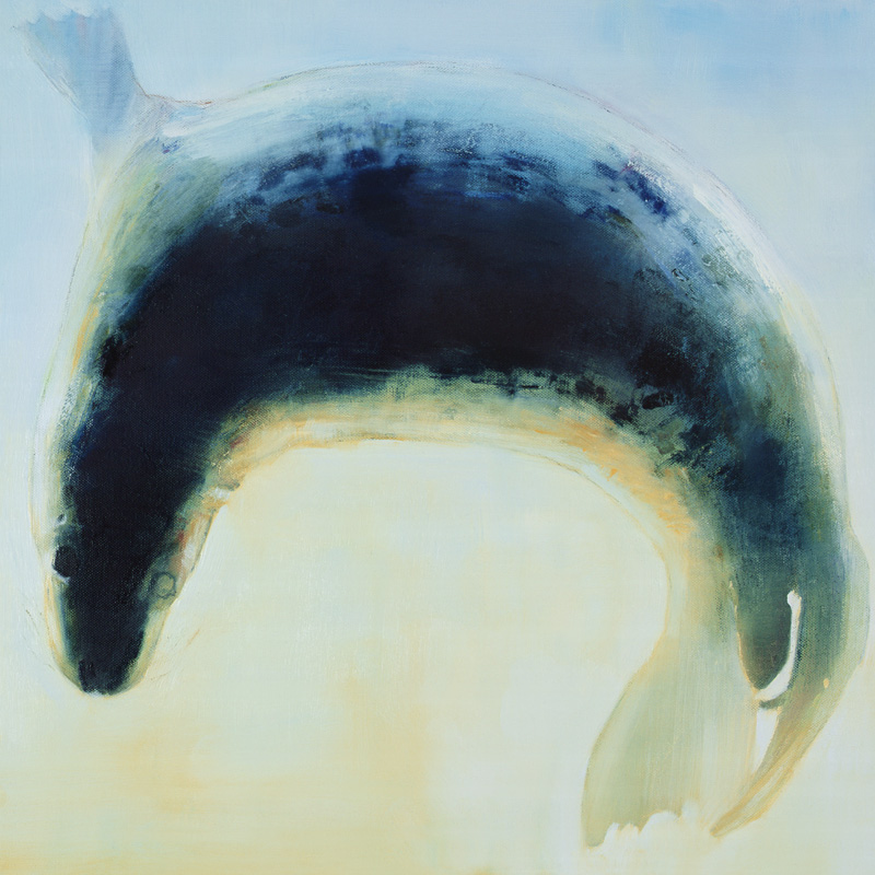 Seal Circle od Mark  Adlington