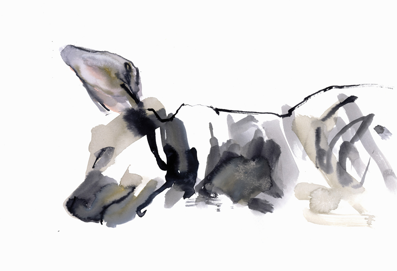 Sleeping Hyaena od Mark  Adlington