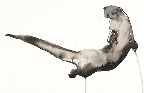 Back Awash (Otter) od Mark  Adlington