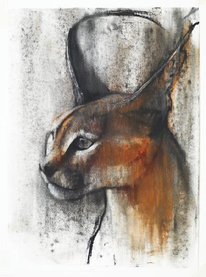 Egyptian (Arabian Caracal)