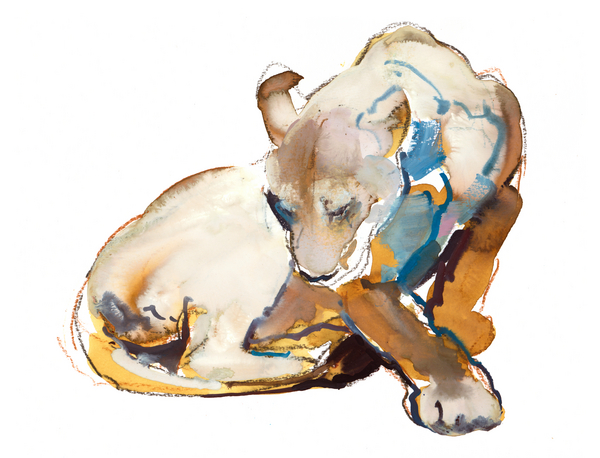 Feline Paint (lioness) od Mark  Adlington