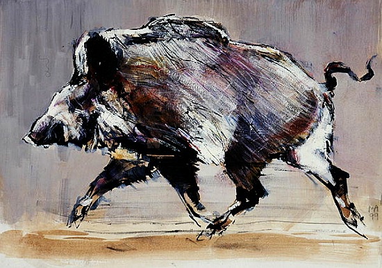 Running boar od Mark  Adlington