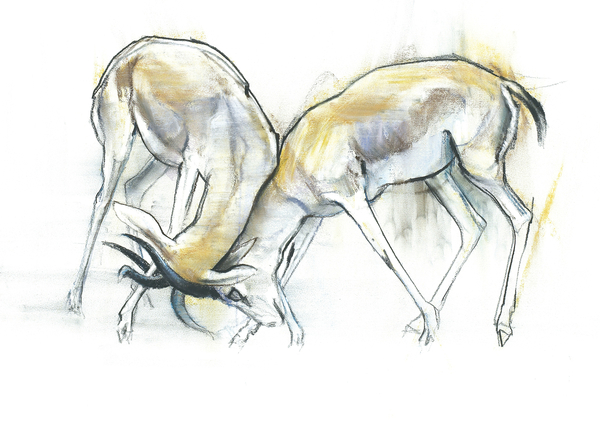 Sand Gazelles od Mark  Adlington