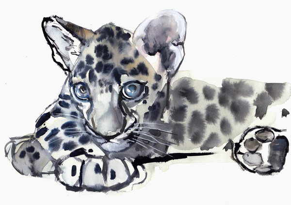 Spotty (Arabian Leopard Cub) od Mark  Adlington