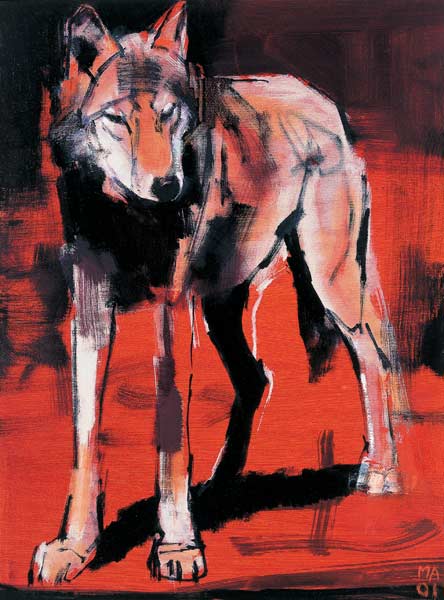Summer Wolf od Mark  Adlington