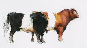 Belties