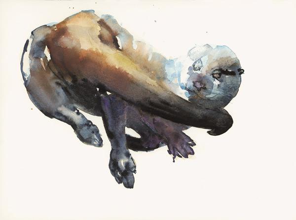 Otter Study I - Talisker