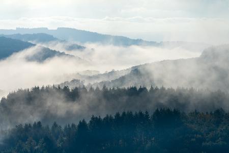 Early morning at Morvan