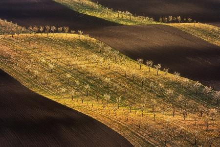 Moravian Tuscany Waves #2