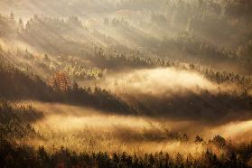 Autumn Rays