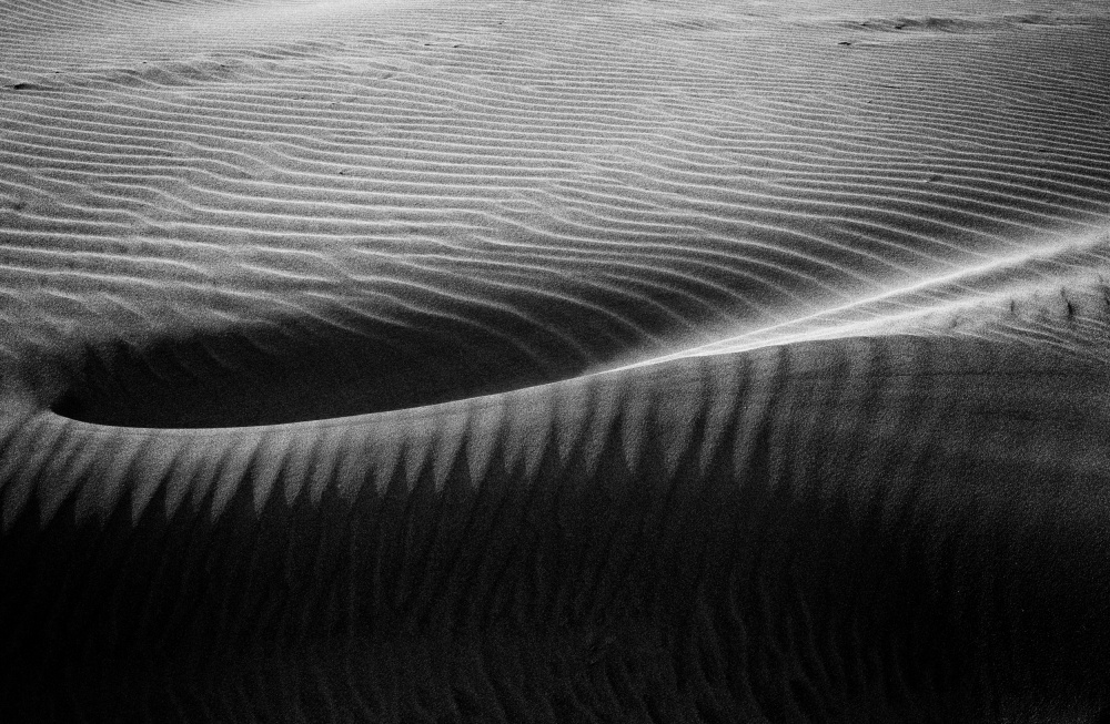 In the hollow of the dunes od Maryse Dardaillon