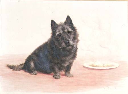Suppertime - A Scottish Terrier Seated by a Plate od Maud Earl