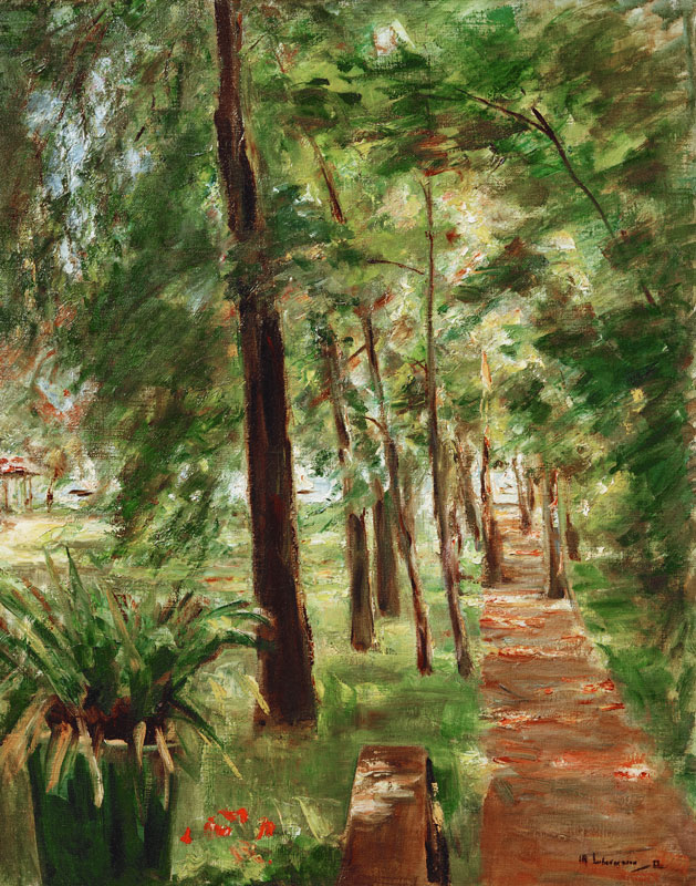 the birchavenue at the Wannsee-garden od Max Liebermann