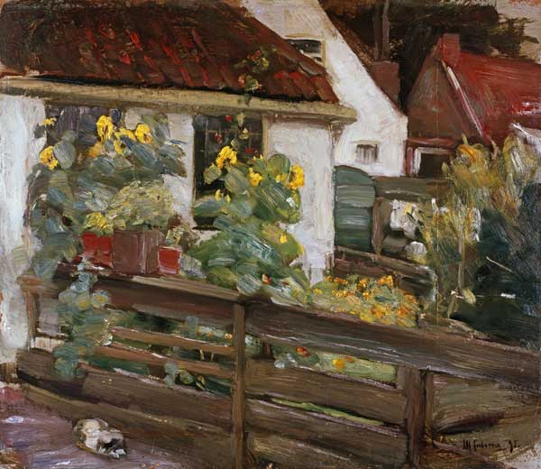 Garten mit Sonnenblumen od Max Liebermann
