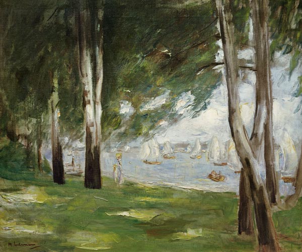 birches at the waterside of the Wannsee od Max Liebermann
