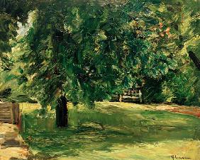 lawn seat under the chestnut tree