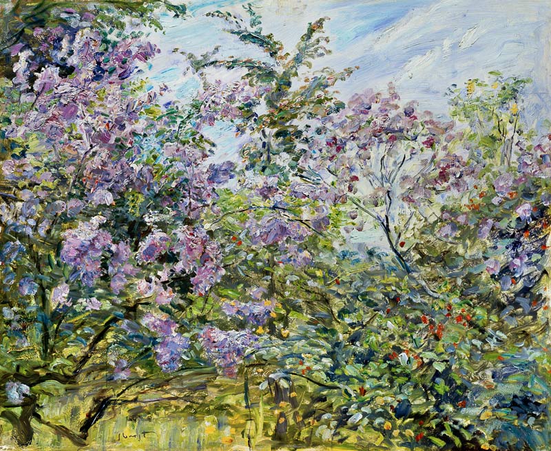 Blossoming lilac od Max Slevogt