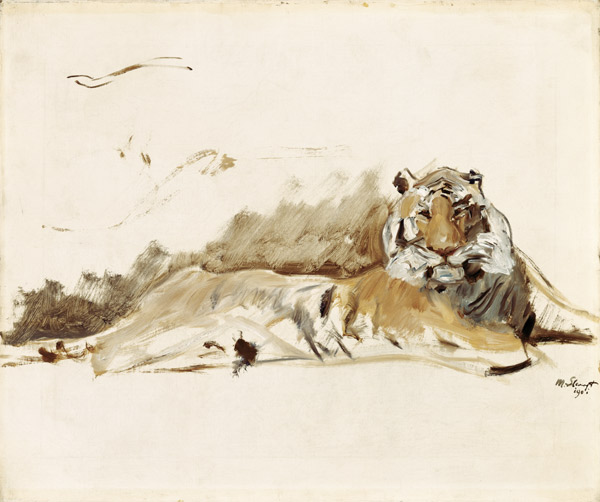 Resting tiger od Max Slevogt