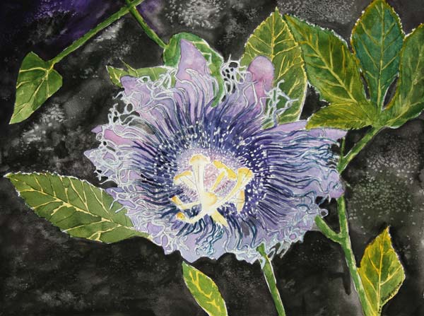 Painting of flowers od Derek McCrea