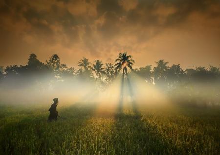 Natural beauty of the village