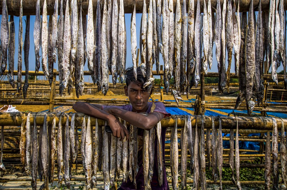 A worker boy of dried fish od Md. Sharif Uddin