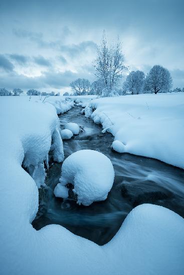 Fluffy Winter