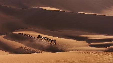 Shadows in the Desert