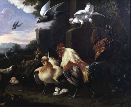 A cockerel and other fowl in a landscape od Melchior de Hondecoeter