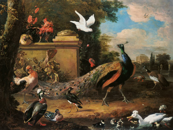 Peacocks and other Birds by a Lake od Melchior de Hondecoeter
