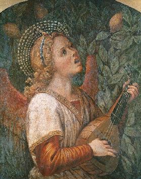 Angel Musician