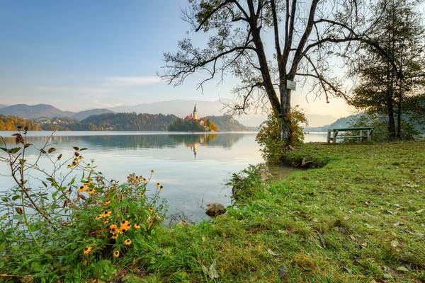 Morgens am Bleder See in Slowenien od Michael Valjak