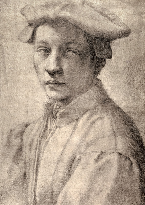 Portrait Study of a Young Boy od Michelangelo (Buonarroti)