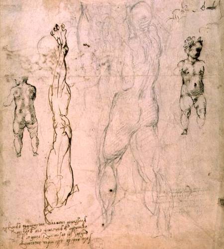 Anatomical drawings with accompanying notes (red chalk) od Michelangelo (Buonarroti)