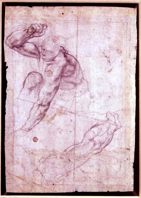Male figure study od Michelangelo (Buonarroti)