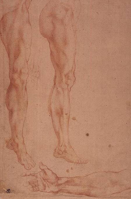 Studies of Legs and Arms od Michelangelo (Buonarroti)